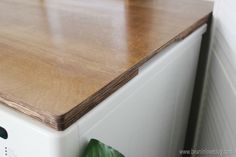 a white refrigerator freezer sitting on top of a wooden counter next to a plant