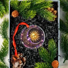 an ornament in a box surrounded by pine cones