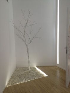 a bare tree in the corner of a white room with light coming through its windows