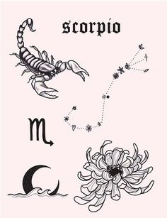 scorpio and zodiac signs are shown in black ink on a pink background with flowers