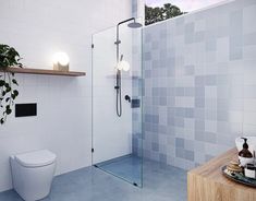 a bathroom with a toilet and shower in it