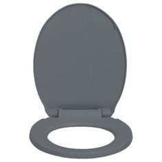 This premium toilet seat, which is suitable for all standard toilet bowls, will be ideal for family homes, restaurant, department stores and hotels. Made of strong polypropylene, the seat is highly stable and durable. The seat has a soft-close function, which means it closes slowly and quietly. It has quick-release mechanism so the seat can be removed easily as needed. The seat is easy to clean and quick to install with top mount hinges and corrosion free hardware.Color: GrayMaterial: PolypropyleneOverall size: 18.1" x 13.4" (L x W)Shape: OvalWidth between the two hinges: 4.3"-6.7" (adjustable)Mounting hole diameter: 0.6"Suitable for all regular toilet bowlsScratch-resistant surfaceWith a soft-close functionQuick-release hinge mechanismWith a rubber pad on the backAssembly required: YesNot Toilet Chair, Fireplace Fan, Green Oval, Toilet Bowls, Department Stores, Family Homes, Home Hardware, Tampon, Toilet Seat