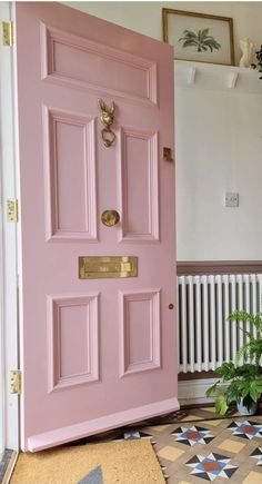 a pink door with gold hardware on the front and side panels is in an entryway