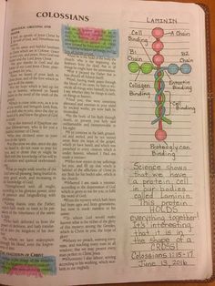 an open book with diagrams and text on the page, which is filled with information about colossans