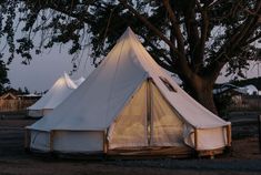 a large white tent sitting next to a tree