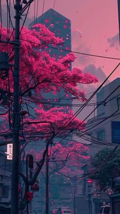 a city street filled with lots of traffic and tall buildings covered in pink trees during the day