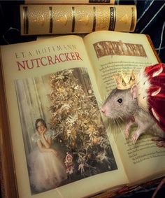 a book with an image of a rat in front of a christmas tree on it