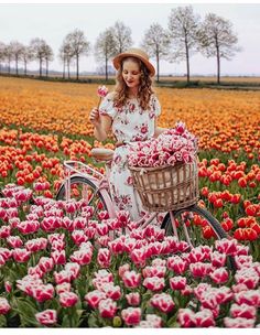 a woman riding a bike through a field full of flowers with a basket on the back