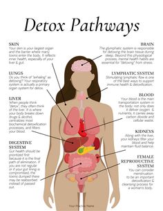 Detox Pathways, Sugar Diet, Inner Health, Health Research, Health Habits, Health Knowledge, Natural Health Remedies