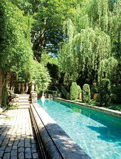 an outdoor swimming pool surrounded by greenery and stone steps leading to the water's edge