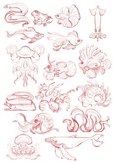 a bunch of different types of fish on a white background with red marker pens and ink