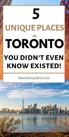 the city skyline with text overlaying 5 unique places in toronto you didn't even know excited