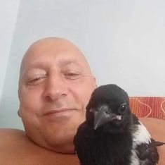 a bald man holding a black and white bird on his chest, with eyes closed