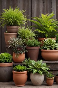 many potted plants sitting on top of each other in front of a wooden fence