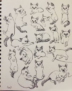 a bunch of cats that are sitting in the middle of a drawing book with pencil on paper