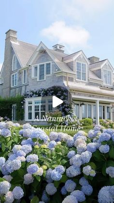 a large house surrounded by blue flowers and greenery