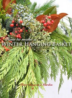 an arrangement of evergreens, berries and other greenery with the words how to make a winter hanging basket