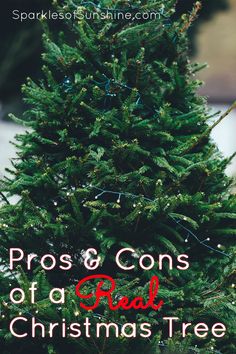 a christmas tree with the words pros and cons of a real christmas tree