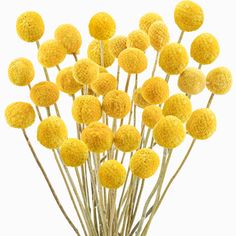 a vase filled with yellow flowers on top of a table