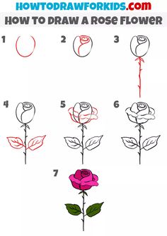 how to draw a rose flower with step by step instructions for kids and beginners