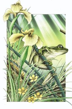 a frog sitting on top of a plant next to flowers