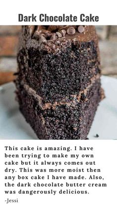 a piece of chocolate cake sitting on top of a white plate