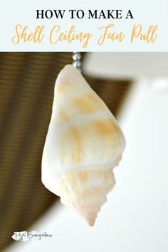 a sea shell hanging from a metal chain