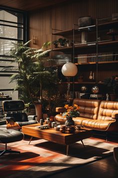 a living room filled with lots of furniture and plants on top of it's shelves