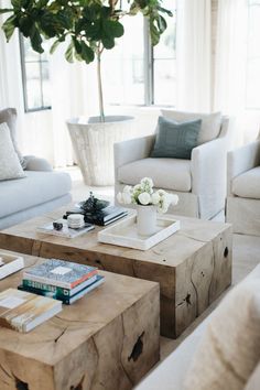 a living room filled with furniture and a potted plant on top of a coffee table