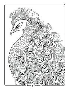 a coloring page with a peacock in black and white