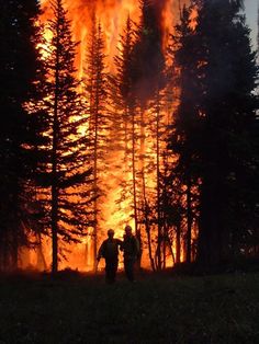 Smoke Jumpers confronting a vicious forest fire. Fire Tattoo, Fire Photography