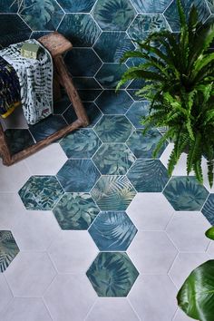 Ca' Pietra x Clarissa Hulse kitchen Teal Palette, Porcelain Tile Bathroom, Large Curtains, Hex Tile, Tropical Forest, Hexagon Tiles, Smooth Walls, Surround Yourself, Stone Decor