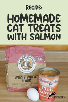 the ingredients for homemade cat treats with salmon