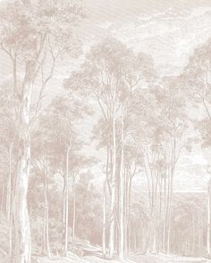 an old drawing of trees in the woods