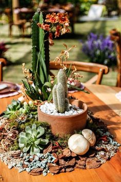 a table topped with a potted cactus next to rocks and gravel on top of a wooden table