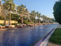 an outdoor swimming pool with lounge chairs and palm trees lining the side of it in front of a hotel