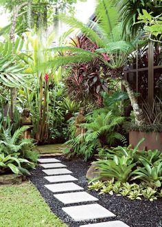 a garden with lots of green plants and rocks on the ground in front of it