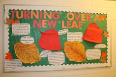 a bulletin board with autumn leaves and other things on it