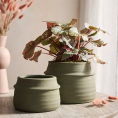 two green vases with plants in them on a table next to a pink vase