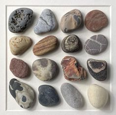 there are many rocks arranged in a square white frame on the wall, all different colors and shapes