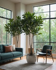 a living room filled with furniture and a potted plant