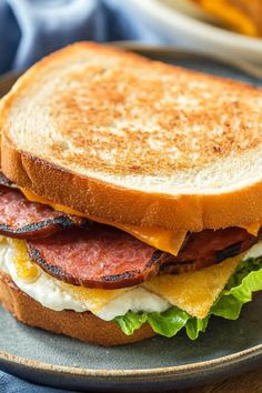 a toasted sandwich with bacon, egg and cheese