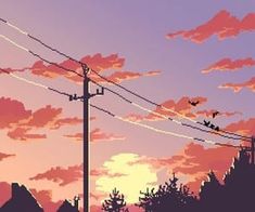 birds are flying in the sky above power lines and telephone wires at sunset or dawn