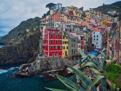 the colorful buildings are next to the ocean