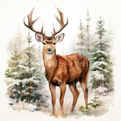 a watercolor painting of a deer in the woods with snow on it's ground