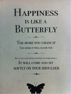 a sign that says happiness is like a butterfly