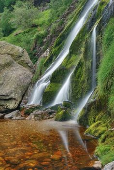 a small waterfall in the middle of a forest filled with green grass and mossy rocks