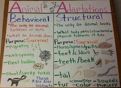 an animal's behavior chart is shown on the wall