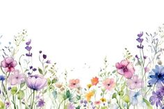 watercolor painting of colorful flowers and plants on a white background with space for text