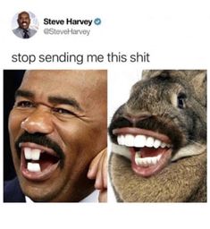 Laughing Gas, Meme Lord, Steve Harvey, Memes Humor, Can't Stop Laughing, Very Funny Pictures, Really Funny Pictures, Really Funny Memes, Funny Tweets